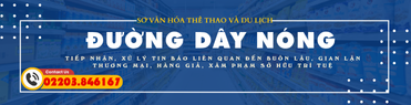 Đường dây nóng tiếp nhận, xử lý tin báo liên quan đến buôn lậu, gian lận thương mại, hàng giả, xâm phạm sở hữu trí tuệ